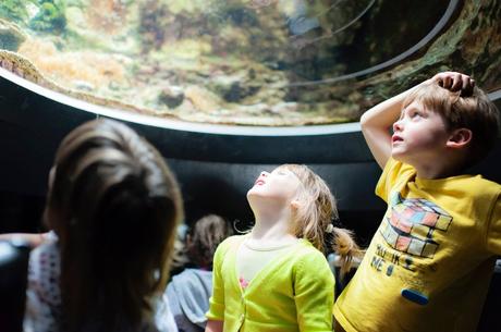 Besoin d’évasion, retour dans le Nord Pas de Calais. Visite du Nausicaa de Boulogne sur Mer