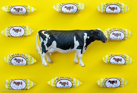 Le paradis des vaches ;-) Le paradis des vaches ;-)