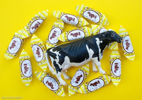 Le paradis des vaches ;-) Le paradis des vaches ;-)