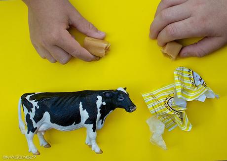 Le paradis des vaches ;-) Le paradis des vaches ;-)