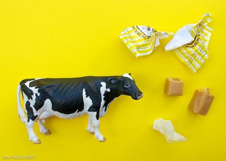 Le paradis des vaches ;-) Le paradis des vaches ;-)