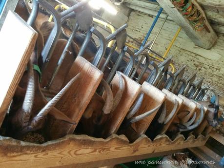 S'occuper par temps moyen biquette