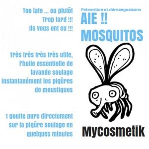 Astuce contre les piqûres de moustiques
