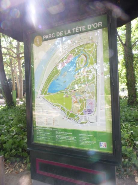 La France - Lyon - le parc de la tête d'or