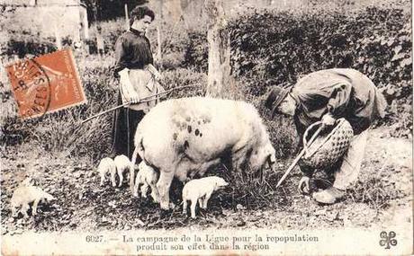 1927  Les efforts de la ligue pour la repopulation de la France 