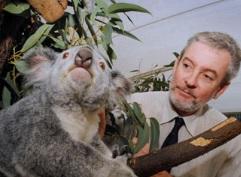 Vaccin anti-CHLAMYDIA: Le koala montre la voie – UQ News