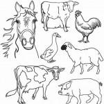 dessin d animaux de la ferme