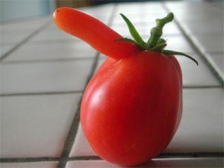 Un légume indispensable: la tomate