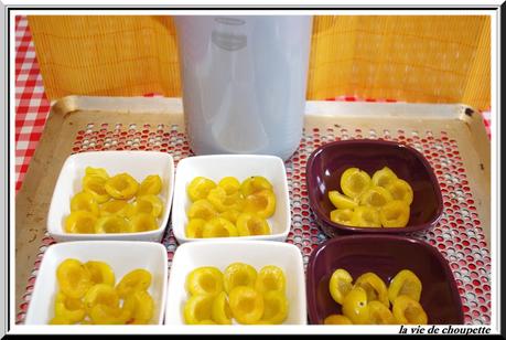 CUAJADA AUX MIRABELLES cuajada aux mirabelles-9