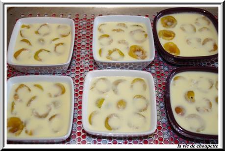 CUAJADA AUX MIRABELLES cuajada aux mirabelles-10