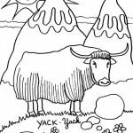 dessin de yack