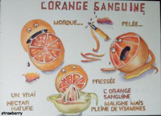 Oranges sanguines à l'aquarelle Image and video hosting by TinyPic