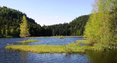 De la tourbière du Lac de Lispach à La Bresse Lac Lispach