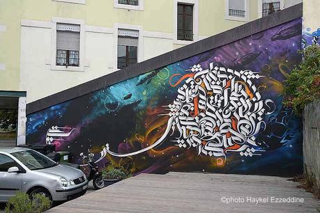Genève: “En vélo pour admirer et découvrir des graffitis” DSC_2101aaaaaaaaa.jpg