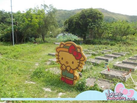 J'y étais : A la ferme organique Hello Kitty de Hong Kong http://www.jaimehellokitty.com/images/IMG2015B/21.jpg
