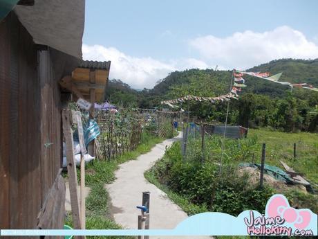 J'y étais : A la ferme organique Hello Kitty de Hong Kong http://www.jaimehellokitty.com/images/IMG2015B/14.jpg