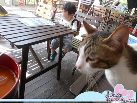 J'y étais : A la ferme organique Hello Kitty de Hong Kong http://www.jaimehellokitty.com/images/IMG2015B/R4.jpg