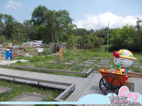 J'y étais : A la ferme organique Hello Kitty de Hong Kong http://www.jaimehellokitty.com/images/IMG2015B/25.jpg