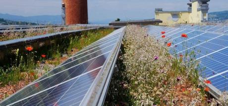 Biodiversité, photovoltaïque : réveillons les énergies qui sommeillent sur nos toits ! toiture,transition écologique de l'habitat