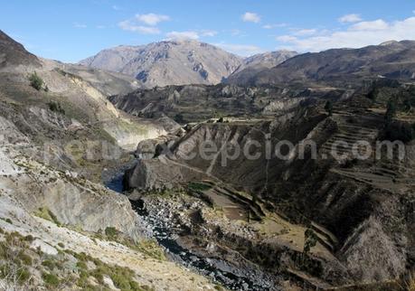 Canyon du Colca Canyon du Colca