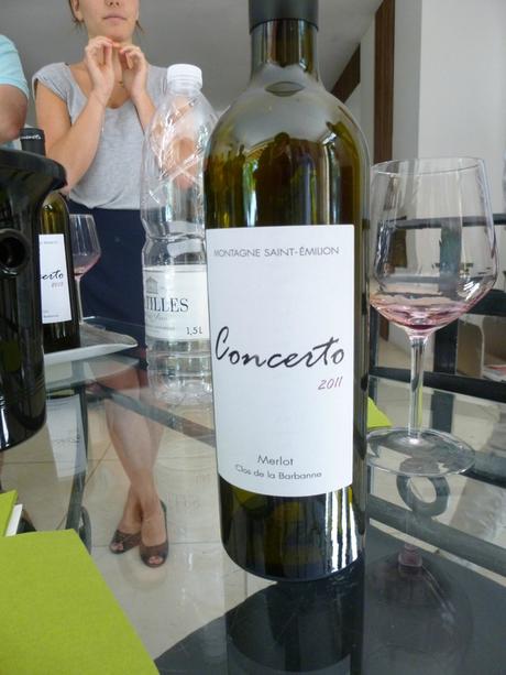 Visite au Clos de la Barbanne : Montagne Saint Emilion P1020694