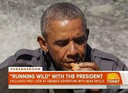 #daesh #syrie #irak : Quand Obama préfère les ours en Alaska #daesh #syrie #irak : Quand Obama préfère les ours en Alaska