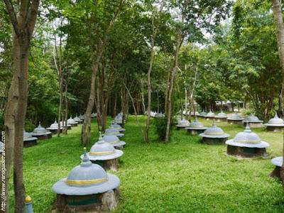 Le cimetière des éléphants à Ban Ta Klang (Surin)