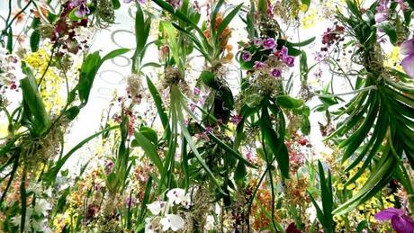 MyHomeDesign, membre du jury Maison et Objet 2015 teamLab x M&O