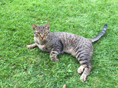 Jardin d'un 11 Septembre Jardin d'un 11 Septembre
