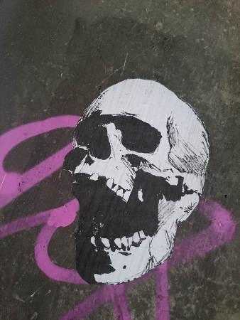 crane_rire.JPG, sept. 2015 crane_rire.JPG