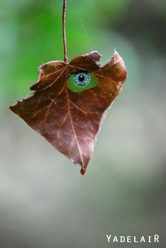 Tirages en stock ou commande Tirages en stock ou commande