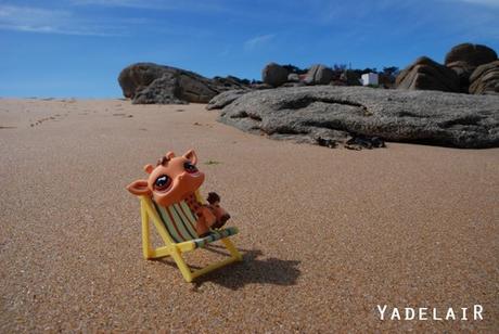 Tirages en stock ou commande Tirages en stock ou commande