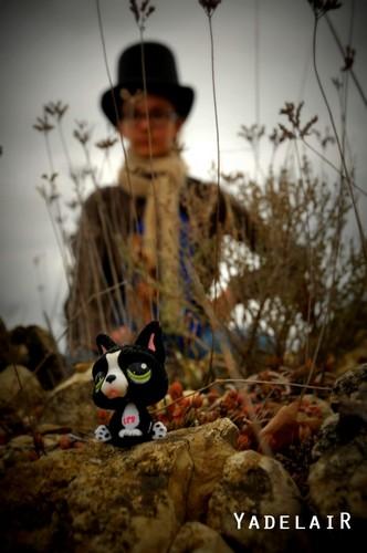 Tirages en stock ou commande Tirages en stock ou commande