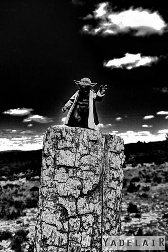 Tirages en stock ou commande Tirages en stock ou commande