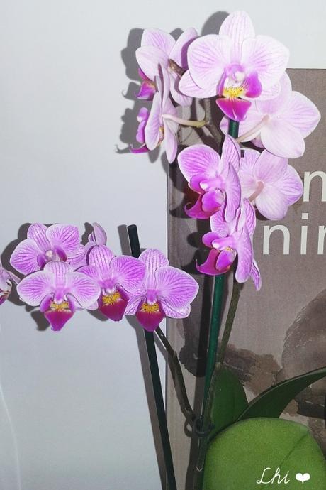 Un an plus tard, la fin des travaux Un an plus tard, la fin des travaux