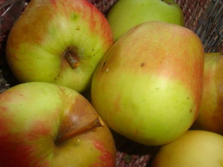 La renverse de pommes La renverse de pommes