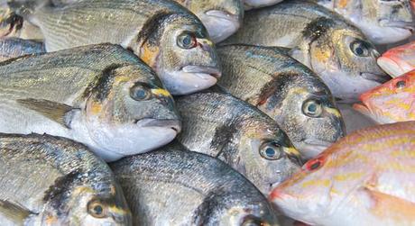 Liste des poissons contaminés au mercure 