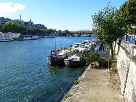 La traversée des Tuileries à la nage ... ou presque ! P1180151