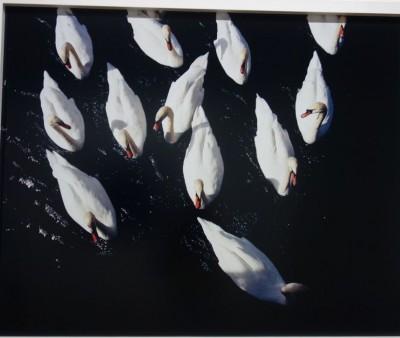 Antoine Wagner, « Cadences » Antoine Wagner