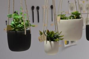Maison & Objets ! Le Verseau vote pour la tendance Jardins suspendus DSC_0466