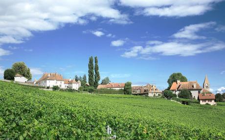 Les vins de la Côte primés au mondial du Chasselas Les vins de la Côte primés au mondial du Chasselas