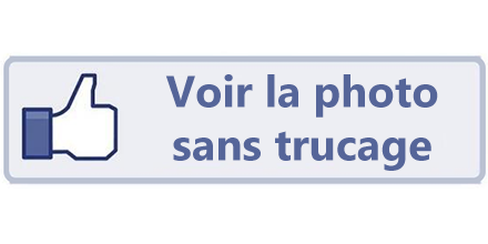 Invente ton bouton Facebook Invente ton bouton Facebook