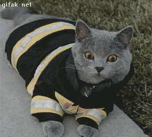 M***, il pleut ! M***, il pleut !