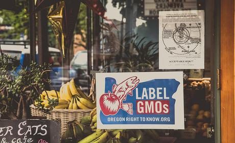 MONSANTO : Les OGM de la discorde ©Tony Webster