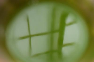 Matcha de Uji-Shirakawa Matcha de Uji-Shirakawa