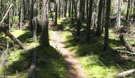La réserve faunique du Saint-Maurice un endroit à découvrir sentier de randonnée en Mauricie