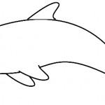 dessin de dauphin