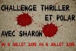 NOUS les menteurs de E. Lockheart thrillerpolar-pativore2