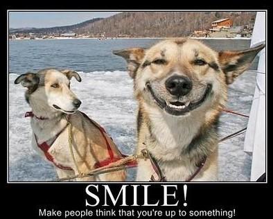 Comment être certain de faire une bonne première impression ? funny-life-related-motivators-smile