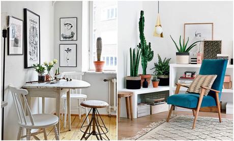 Envie de… de cactus dans ma déco interieur1